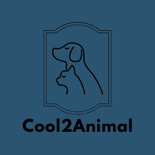 Cool2Animal